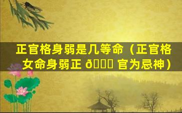 正官格身弱是几等命（正官格女命身弱正 💐 官为忌神）